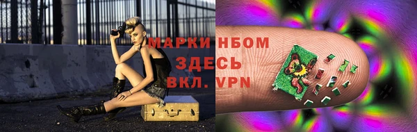 амф Верея