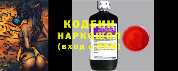 амф Верея