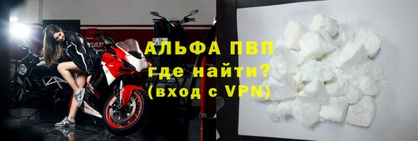 амф Верея