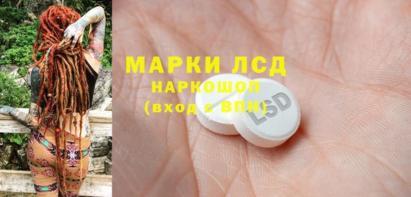 амф Верея